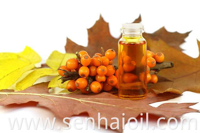 Sea buckthorn Oil 